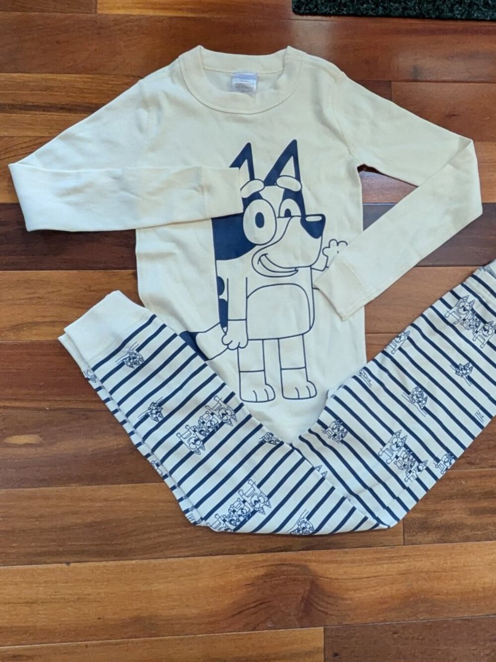 Bluey Hanna Andersson Pajamas NWT (6-7)
